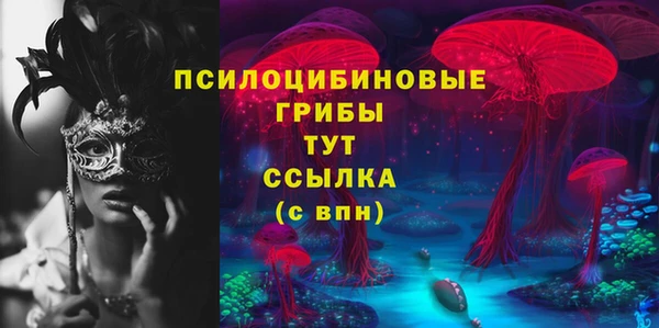 ECSTASY Вяземский