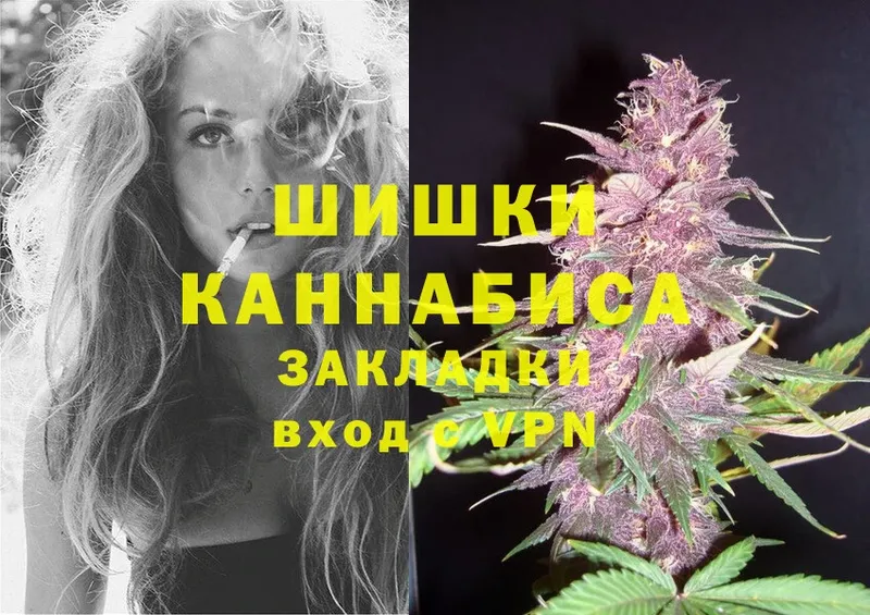 Шишки марихуана White Widow  Кологрив 